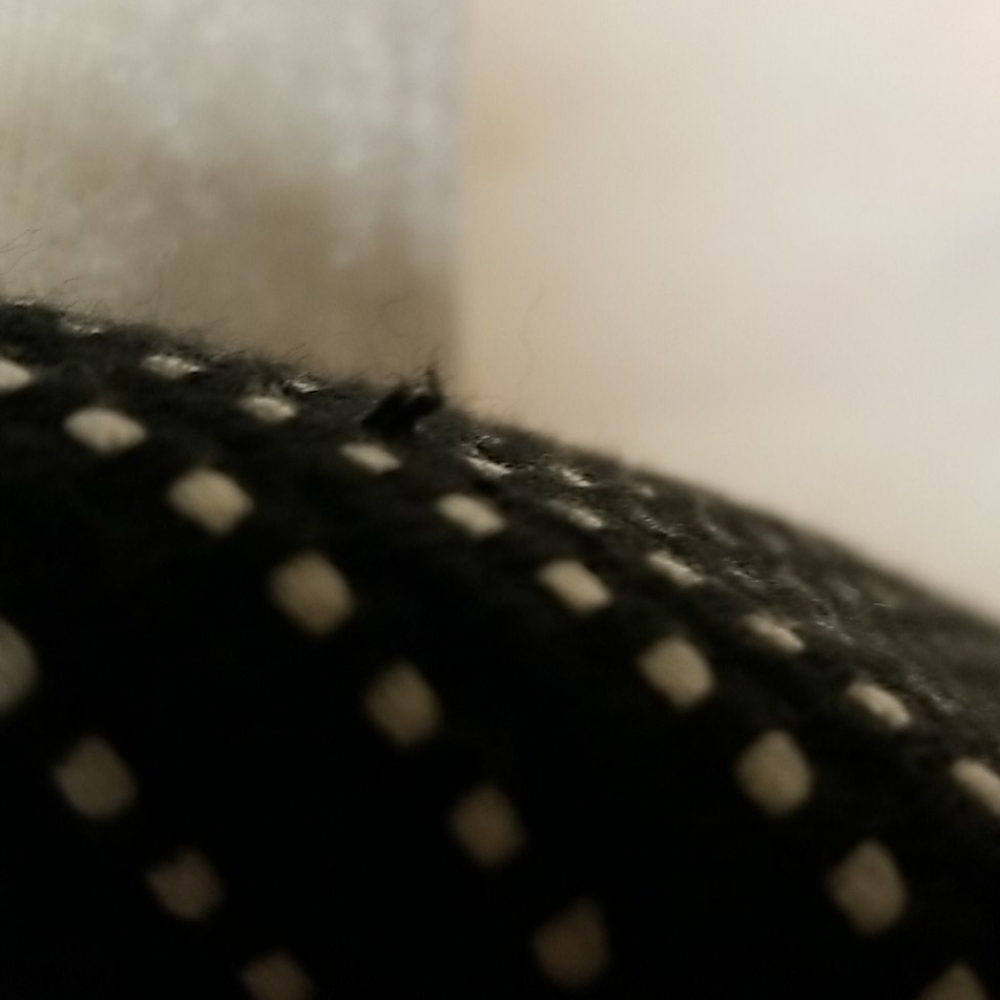 Talbots white dots jacket - Picture 8 of 8